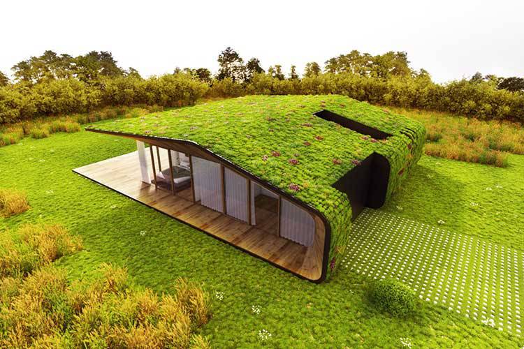 Telhado verde em residência no campo