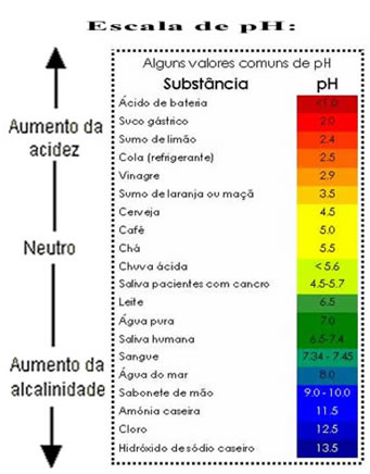 Escala de pH com produtos ácidos e alcalinos e seus índices