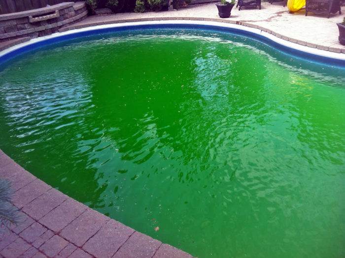 Piscina irregular com água esverdeada